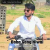 About Baba Gang Niwai Song